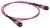 ITK Сборка кабельная MTPM-MTPM тип A 8 MM OM4 100м
